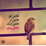 Profile Picture of دیازپام (@diazpam1991) on Instagram