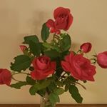 Profile Picture of Val Edwards (@valedwards79) on Instagram