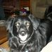 Profile Picture of Jo Dix (@jo.dix.58) on Facebook