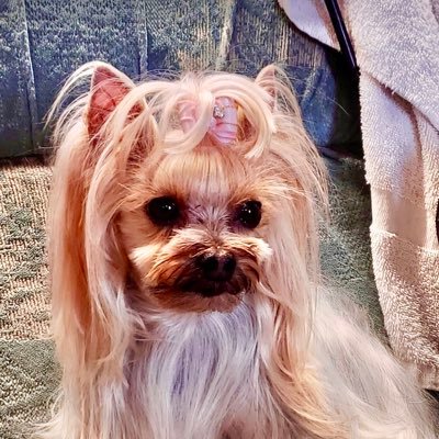 Profile Picture of Peggy Fowler (@pfowl50) on Twitter