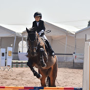 Profile Picture of Horseman Alex Chao (@horsemanachao) on Youtube