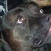 Profile Picture of Joseph 'jock' Kelso (@joseph.kelso1) on Facebook
