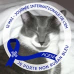 Profile Picture of Catherine Ferron (@catherine.f.ac) on Facebook