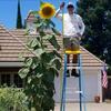 Profile Picture of paul dickey (@@paul.dickey) on Tiktok
