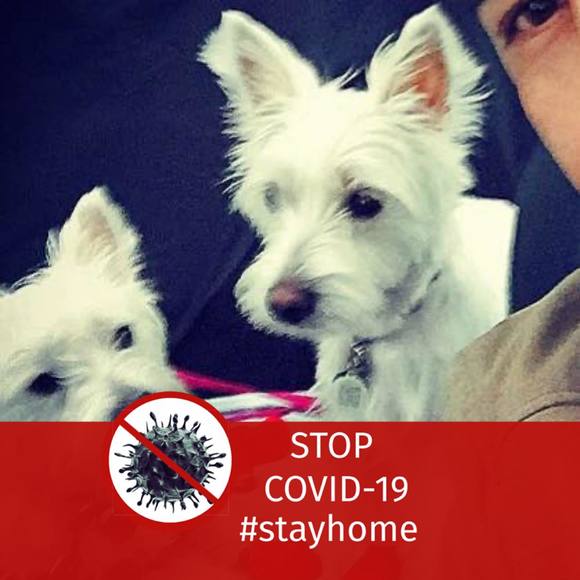 Felipe Ahumada - Poshmark Profile Picture of Felipe Ahumada (@felhidalgo) on Poshmark