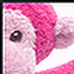 Profile Picture of Louise Clarkson (@louiseclarkson) on Flickr