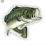 Carson Rosser - Instagram Profile Picture of Carson Rosser (@carson_rosser27) on Instagram