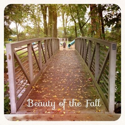 Profile Picture of David Dahl (@BeautyoftheFall) on Twitter