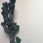 Profile Picture of Sharon Shushan (@sharonshushann) on Instagram