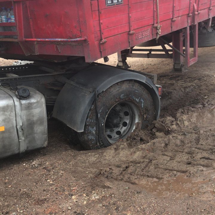 Profile Picture of min88 (@markmin6) on Tiktok