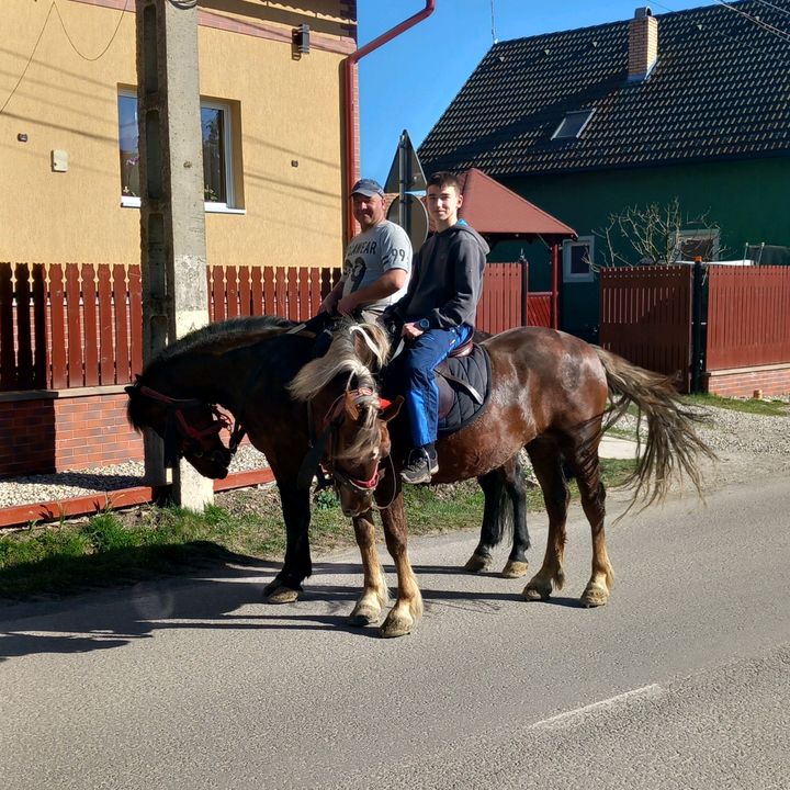 Profile Picture of Márk Sipos (@marksipos0) on Tiktok