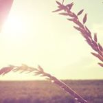 Profile Picture of Joseph Rahn (@rahn.joseph) on Instagram