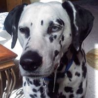 Profile Picture of Blake Duval (@blake-duval) on Quora