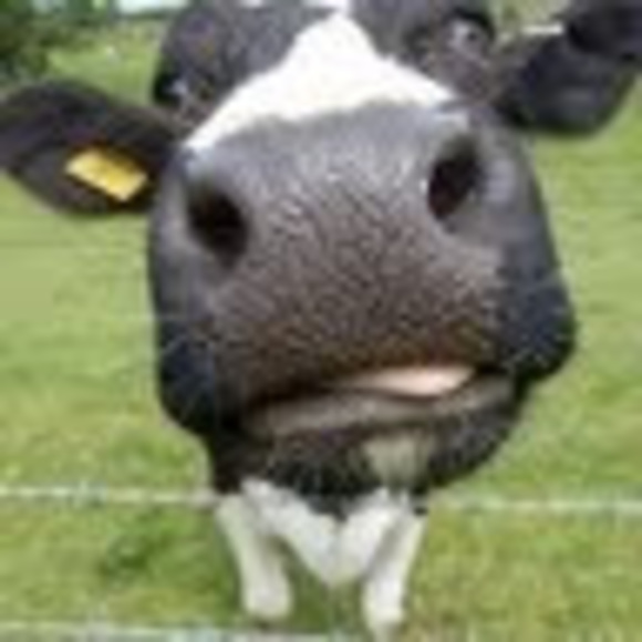 Profile Picture of Greg Blount (@gregblountis) on Poshmark