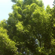 Profile Picture of Fausto Franco (@faustofranco692) on Youtube