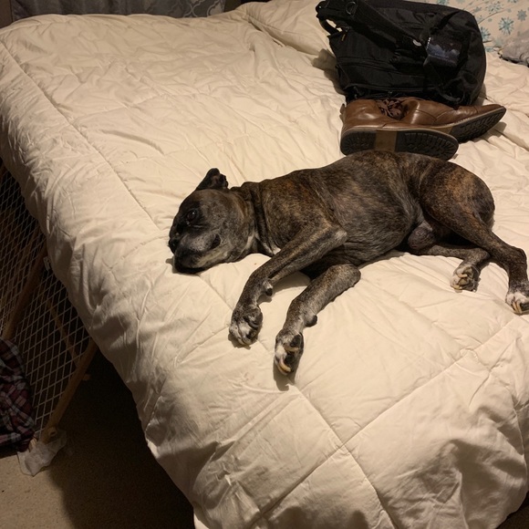 Profile Picture of Gavin Waters (@gavw4) on Poshmark