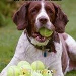 Profile Picture of Zachary Sprague (@zachary.sprague.71) on Instagram