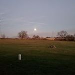 Profile Picture of Terry Hyser (@hyserterry) on Instagram