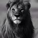 Profile Picture of Grant Long (@glong0735) on Pinterest