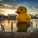 Profile Picture of Jenna ahern (@rubberduckydoom) on Pinterest