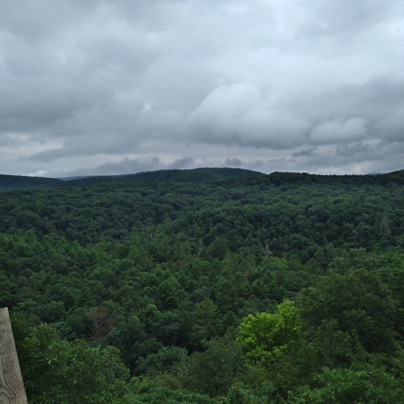 Cindy Bolton - Poshmark Profile Picture of Cindy Bolton (@cbolton68) on Poshmark