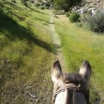 Mark - Instagram Profile Picture of Mark (@mark_jean_a) on Instagram