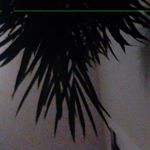 daniel fernandez berjano - Instagram Profile Picture of daniel fernandez berjano (@daniel__fernandez2018) on Instagram