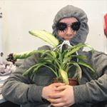 Profile Picture of Millicent Evans (@millicent.evans) on Instagram