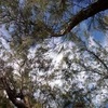 Profile Picture of Greg Warren (@@gregwarren12) on Tiktok