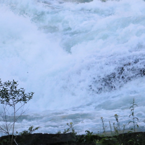 Profile Picture of Si-ji David (@siji0957) on Poshmark