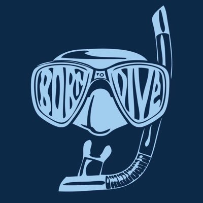 Profile Picture of Andrew Bognar (@b4ndec) on Twitter