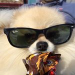 Profile Picture of Julie.A.U.Nyborg (@scotts_verden) on Instagram