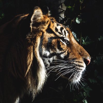Profile Picture of Darrell Lee Sr. (@TCBreakthrough) on Twitter