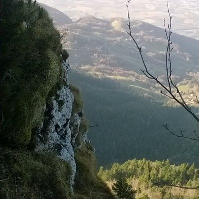 Profile Picture of Robert Cernik (@cheshire_hornet) on Twitter