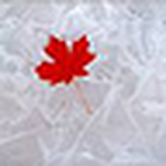 Profile Picture of Blake Allen (@blake e. allen) on Flickr