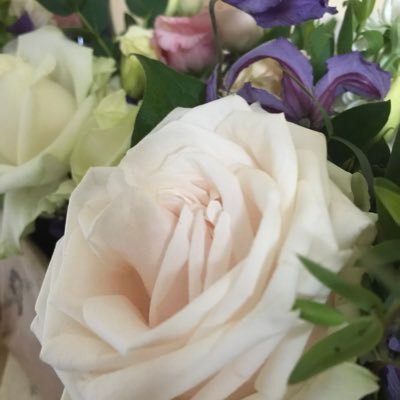 Profile Picture of Catherine Rolfe (@catherinerolfe1) on Twitter