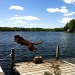 Andrew Santucci - Instagram Profile Picture of Andrew Santucci (@asantucci) on Instagram