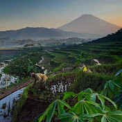 Profile Picture of Giarta Yasa (@giartayasa3972) on Youtube