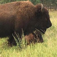 Profile Picture of Beverly Fasig (@beverly-fasig) on Quora