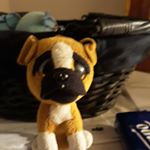 Profile Picture of angelo beretta (@angelo.beretta) on Instagram