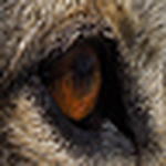 Profile Picture of Steven Cook (@stevencook) on Flickr