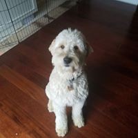 Profile Picture of Joe Stevenson (@joe-stevenson-27) on Quora