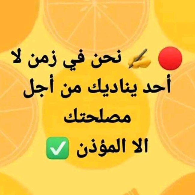 Profile Picture of adellaliberte5 (@adellaliberte5) on Tiktok