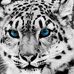 Profile Picture of Thomas Smock (@thomas.smock.7) on Facebook