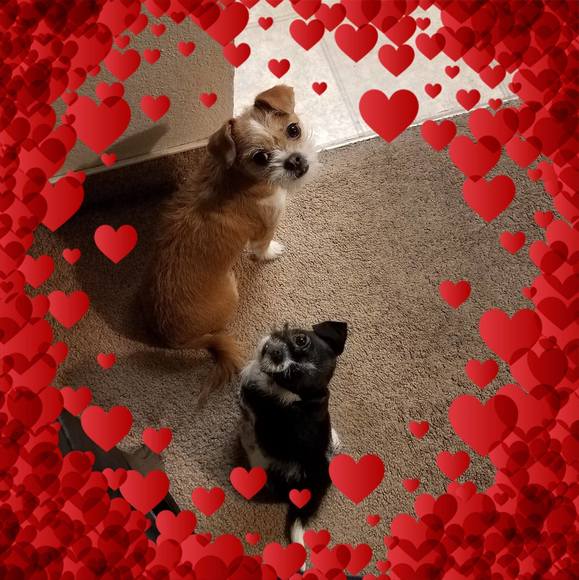 Profile Picture of Genevieve Limon (@genlimon) on Poshmark