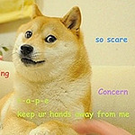 Profile Picture of Li Zou (@jack zou23) on Flickr