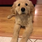 Profile Picture of Kason Scott (@Kason-Scott) on Facebook