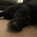 Profile Picture of Jason O'Neill (@jponeill2002) on Pinterest