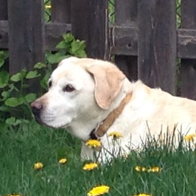 Profile Picture of Paul Mayhew (@dbmsguy) on Twitter