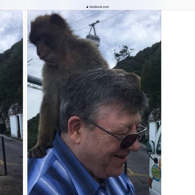 Richard Shackleton - Twitter Profile Picture of Richard Shackleton (@RichardShackl20) on Twitter